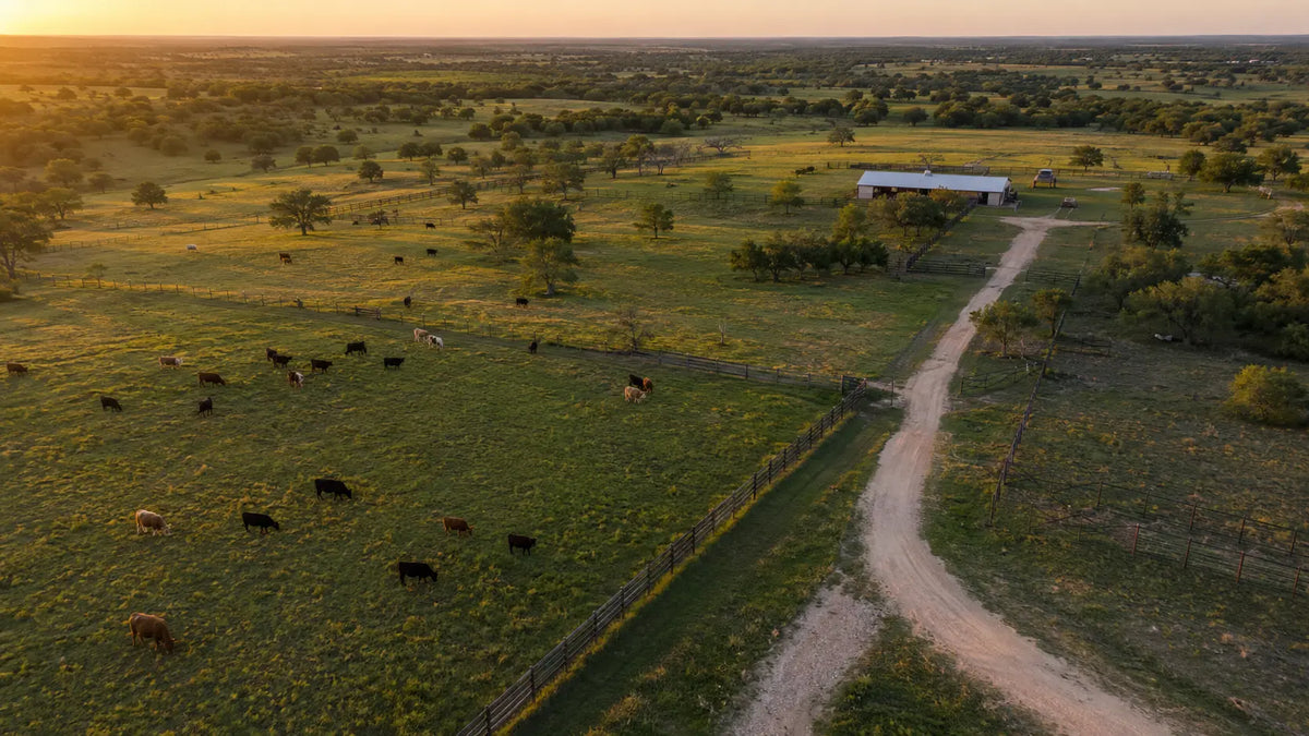 Built on Ranch Roots. Grown Into Something Bigger.