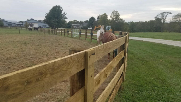 Board Fencing