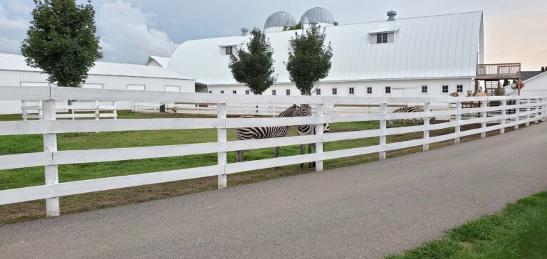 Board Fencing
