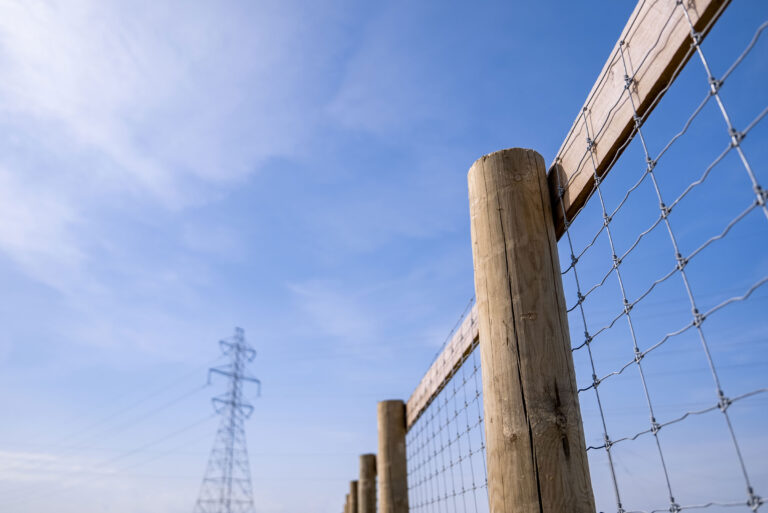 Round Fence Posts