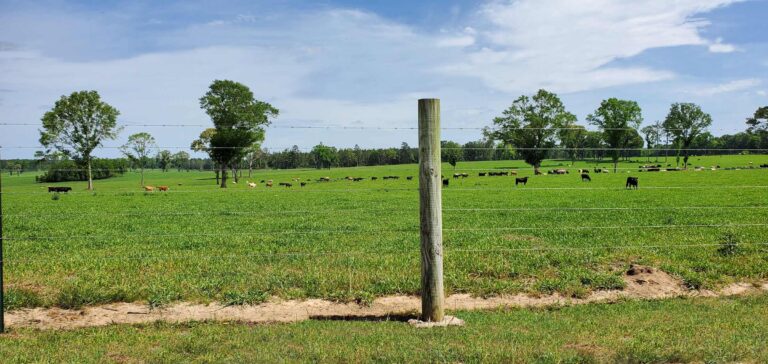 Round Fence Posts