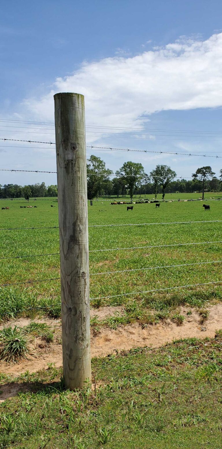 Round Fence Posts