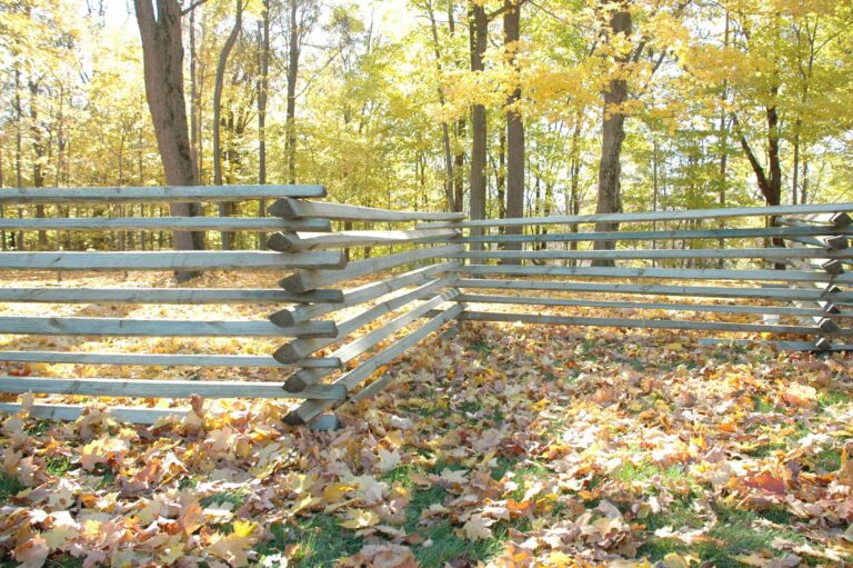 Snake Rail Fencing