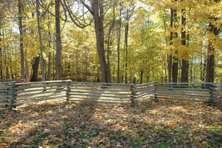 Snake Rail Fencing