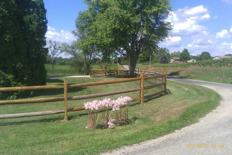 Split Rail Fencing