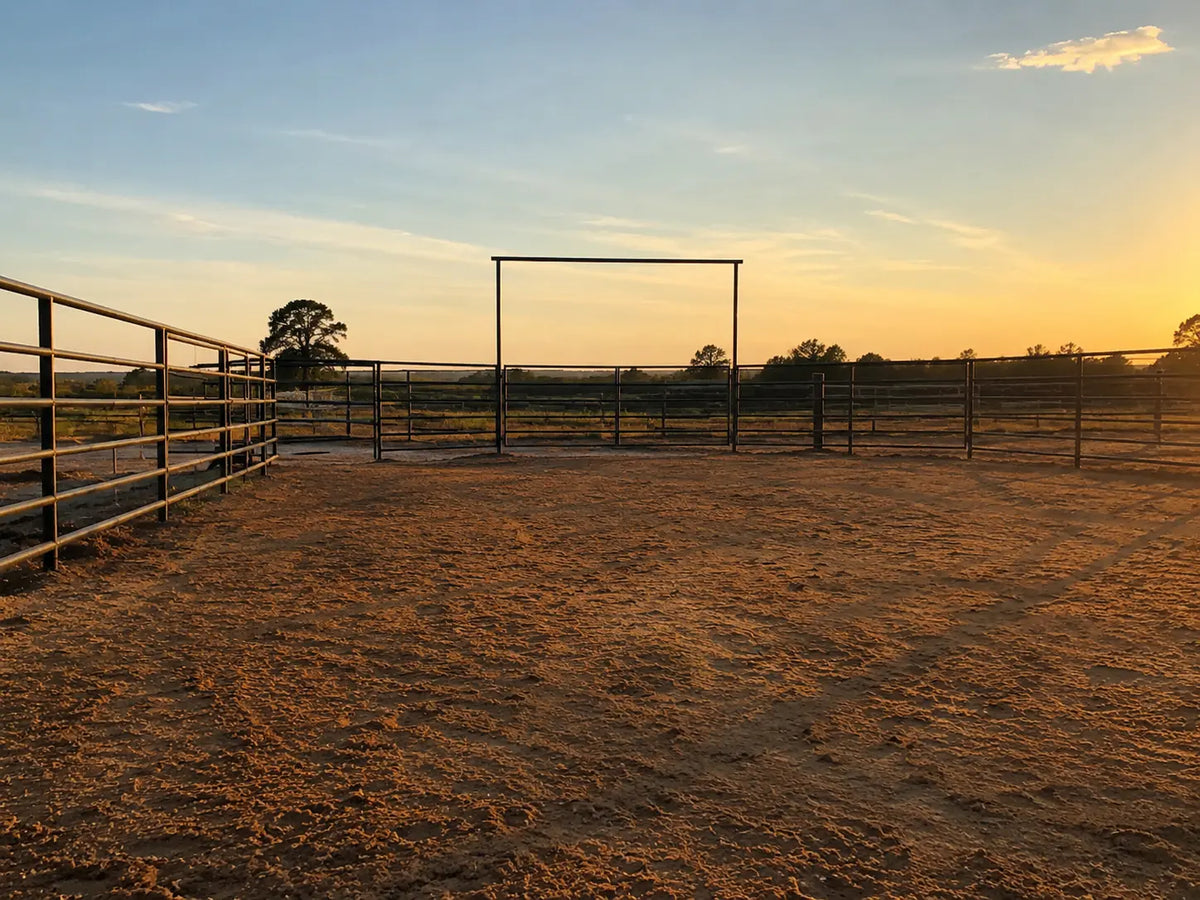 Steel pipe rodeo arena on a Texas ranch at golden hour