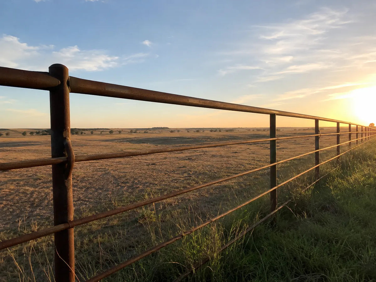 Steel fence pipe on a Texas ranch at golden hour
